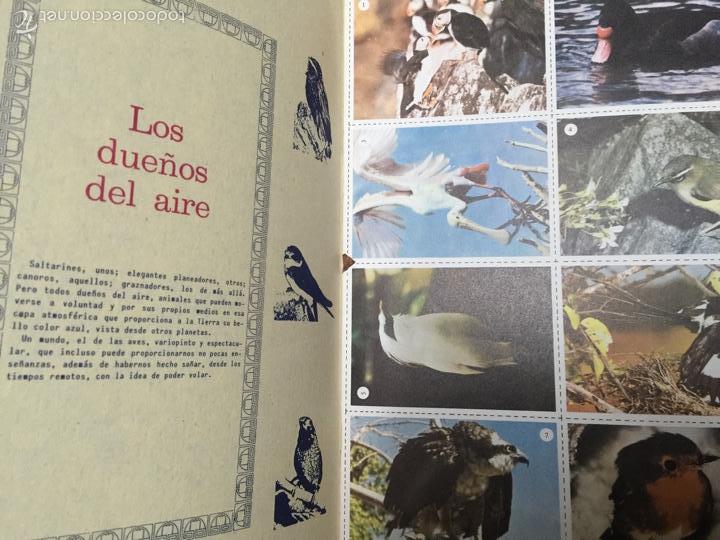 Coleccionismo &aacute;lbum: LAS AVES. MI &Aacute;LBUM DE CROMOS. - Foto 3