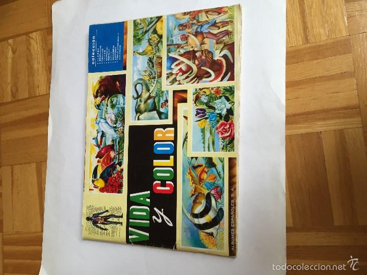 Coleccionismo &aacute;lbum: VIDA Y COLOR - Foto 1