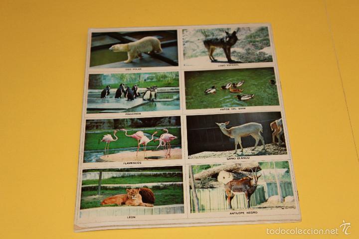Coleccionismo &aacute;lbum: LOTE DE ALBUNES COMPLETOS - Foto 3