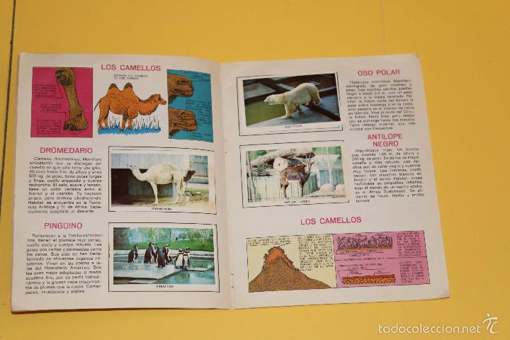 Coleccionismo &aacute;lbum: LOTE DE ALBUNES COMPLETOS - Foto 4