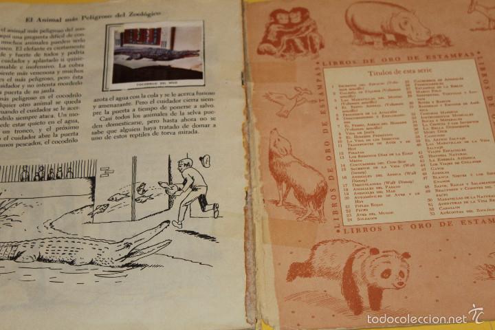 Coleccionismo &aacute;lbum: LOTE DE ALBUNES COMPLETOS - Foto 12