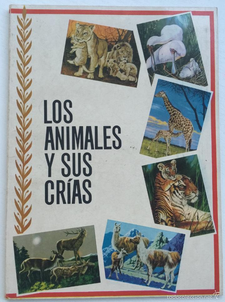 Collezionismo &Aacute;lbum: Album los animales y sus cr&iacute;as - Editorial Ferma - A&ntilde;o 1966 (Completo)