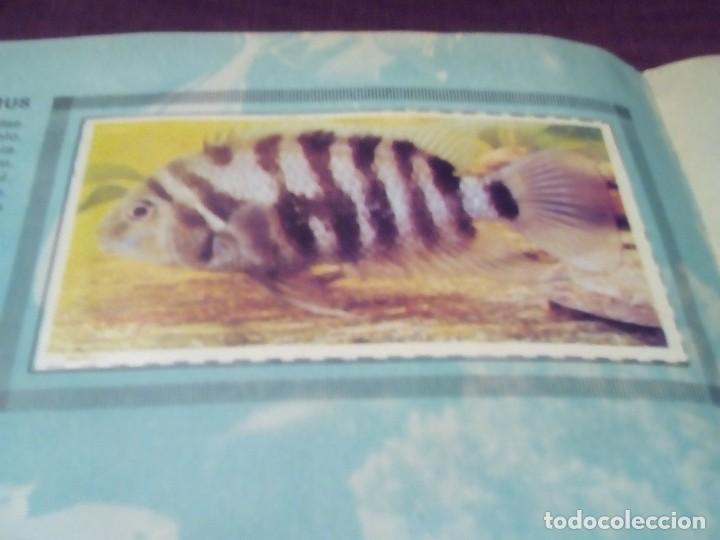 Coleccionismo &aacute;lbum: ALBUM DE CROMOS PECES EXOTICOS - Foto 12