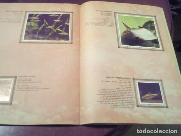 Coleccionismo &aacute;lbum: ALBUM DE CROMOS PECES EXOTICOS - Foto 13