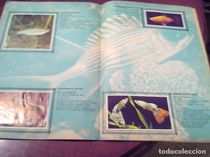 Coleccionismo &aacute;lbum: ALBUM DE CROMOS PECES EXOTICOS - Foto 15