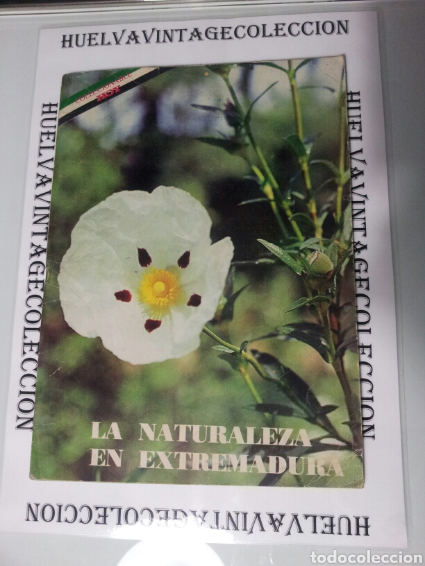 Collectionnisme Album: &Aacute;lbum de cromos -la naturaleza en Extremadura - (completo)