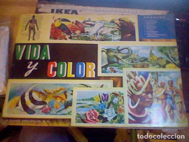 Colecionismo Caderneta: album 1965 vida color completo buen estado