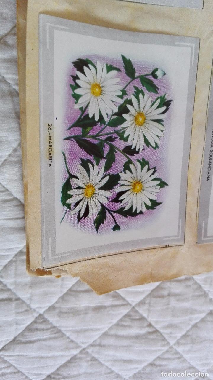 Coleccionismo &aacute;lbum: ALBUM DE CROMOS VIDA Y COLOR - Foto 3