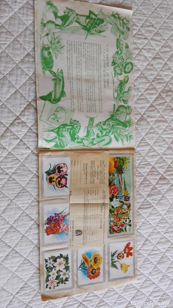 Coleccionismo &aacute;lbum: ALBUM DE CROMOS VIDA Y COLOR - Foto 4