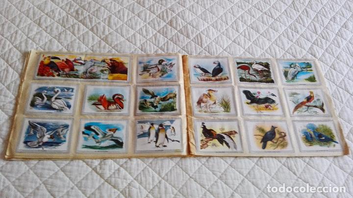 Coleccionismo &aacute;lbum: ALBUM DE CROMOS VIDA Y COLOR - Foto 14