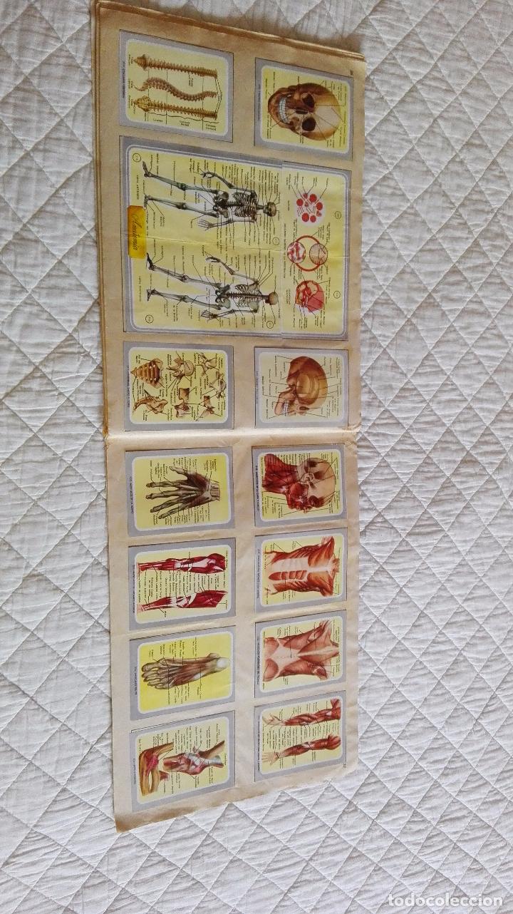 Coleccionismo &aacute;lbum: ALBUM DE CROMOS VIDA Y COLOR - Foto 25