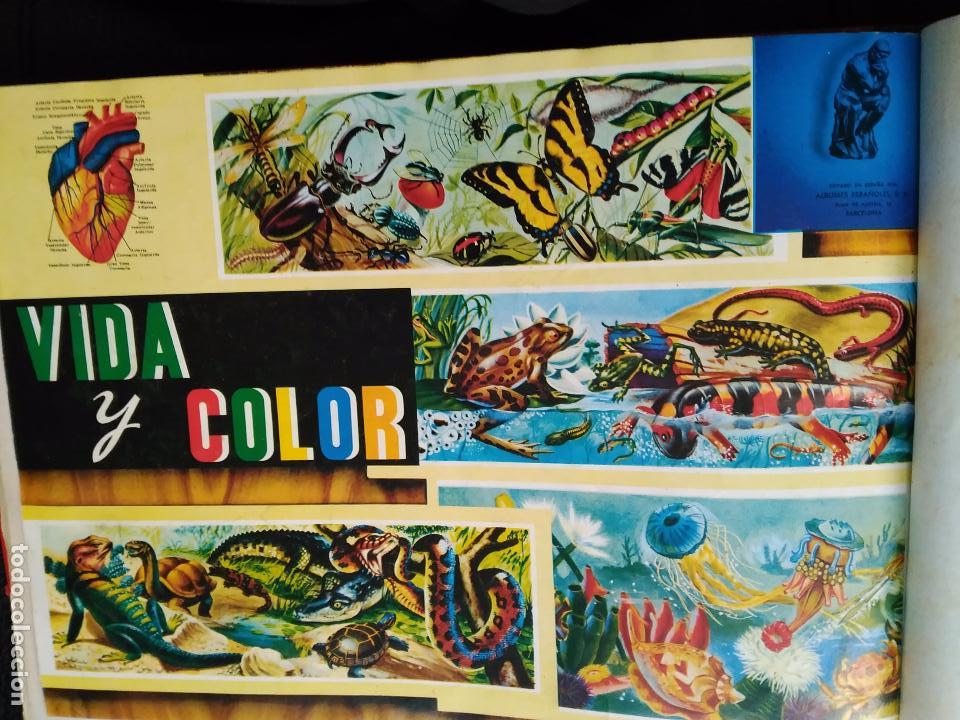 Collezionismo &Aacute;lbum: &Aacute;lbum vida y color encuadernado buen estado