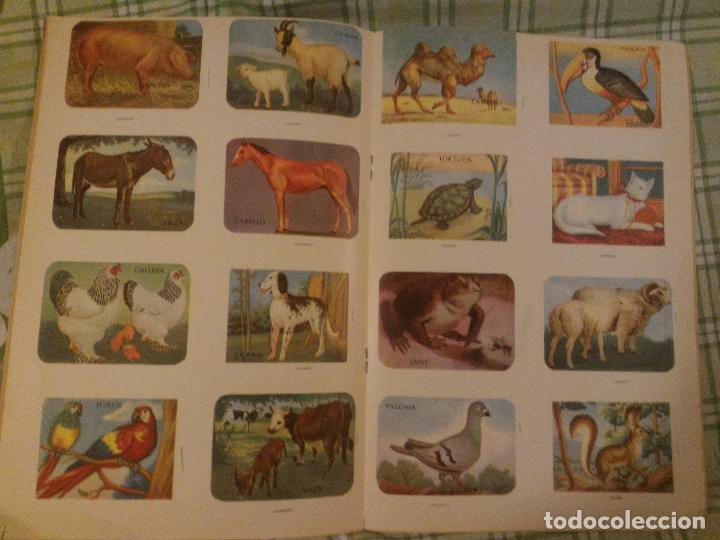 Coleccionismo Álbum: ALBUM DE ORO DEL REINO ANIMAL - EDICIONES RITMOS DEL ANDE - Argentina - RARO - Foto 4 - 86519116