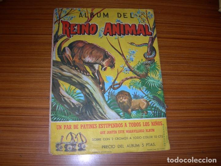 Collectionnisme Album: REINO ANIMAL EDITA COSTA