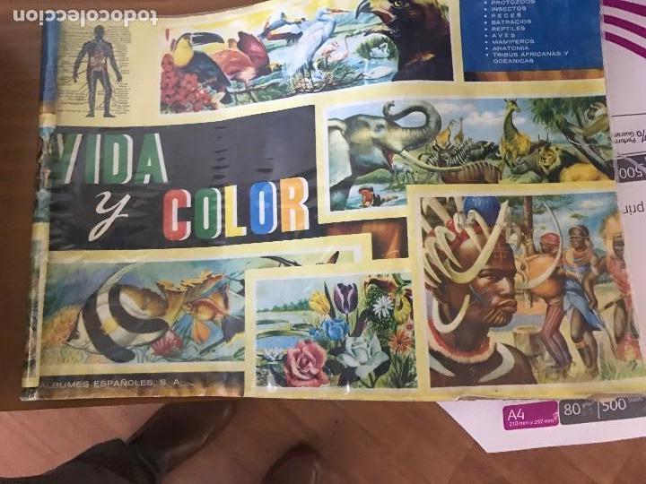 Coleccionismo &aacute;lbum: vida y color completo - Foto 1