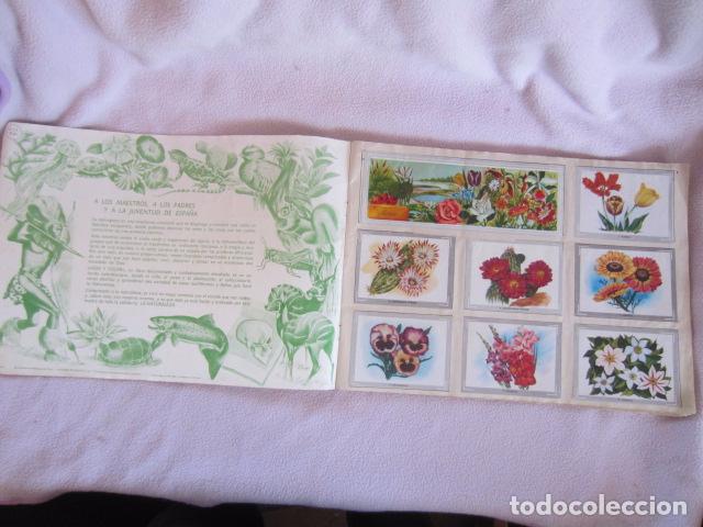 Coleccionismo &aacute;lbum: VIDA Y COLOR - Foto 2