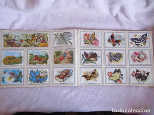 Coleccionismo &aacute;lbum: VIDA Y COLOR - Foto 3