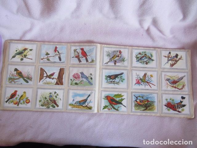 Coleccionismo &aacute;lbum: VIDA Y COLOR - Foto 4
