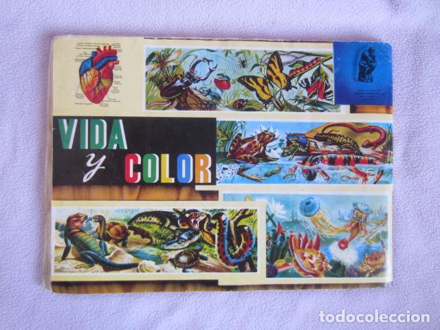 Coleccionismo &aacute;lbum: VIDA Y COLOR - Foto 7