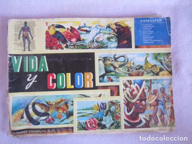 Coleccionismo &aacute;lbum: VIDA Y COLOR - Foto 1