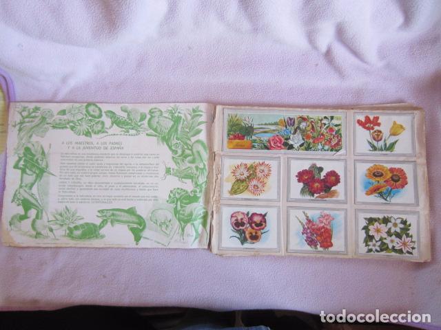 Coleccionismo &aacute;lbum: VIDA Y COLOR - Foto 2