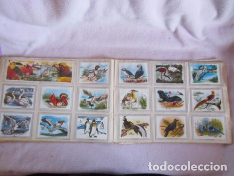 Coleccionismo &aacute;lbum: VIDA Y COLOR - Foto 3