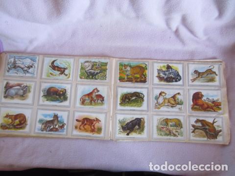 Coleccionismo &aacute;lbum: VIDA Y COLOR - Foto 4