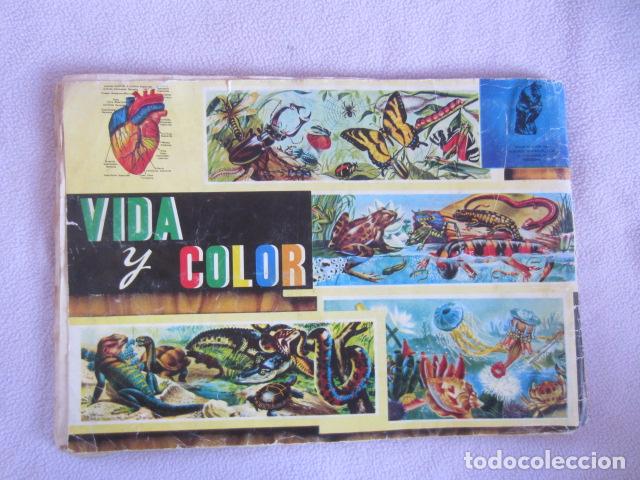 Coleccionismo &aacute;lbum: VIDA Y COLOR - Foto 6