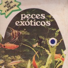 Coleccionismo Álbum: MI ALBUM DE CROMOS PECES EXOTICOS COMPLETO CROMOS SIN PEGAR. Lote 99522967