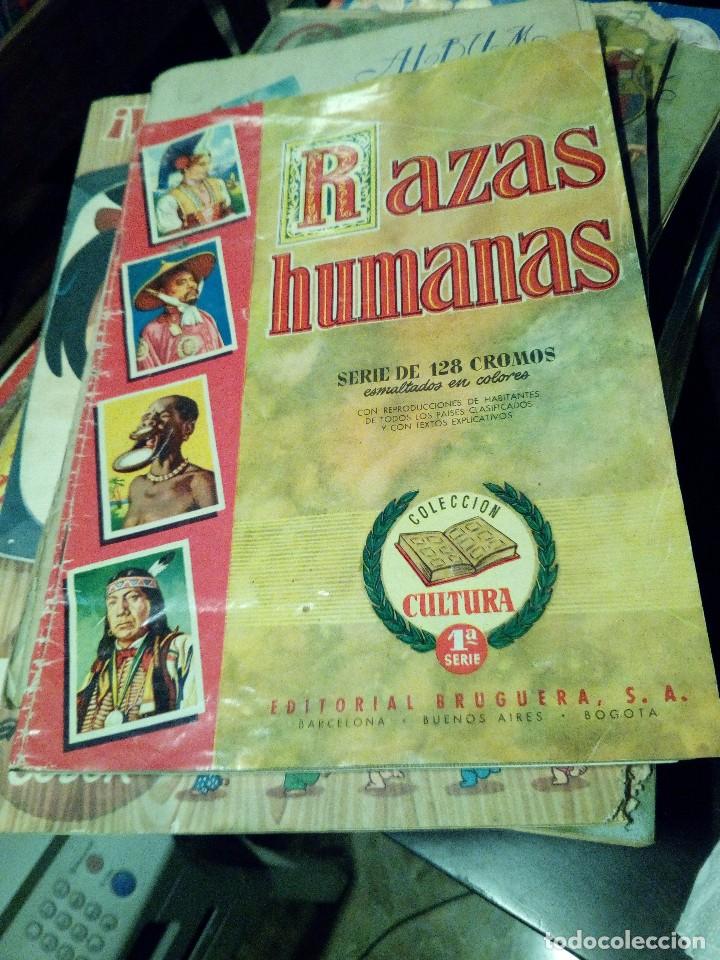 Sammeln Sammelalbum: ALBUM DE CROMOS RAZAS HUMANAS COLECCION CULTURA BRUGUERA 1955 COMPLETO buen estado