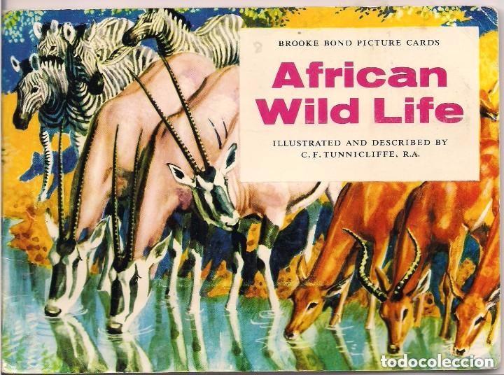 Collectionnisme Album: African Wild Life. &Aacute;lbum ingl&eacute;s