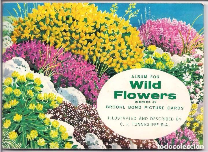Collectionnisme Album: Wild Flowers. &Aacute;lbum ingl&eacute;s