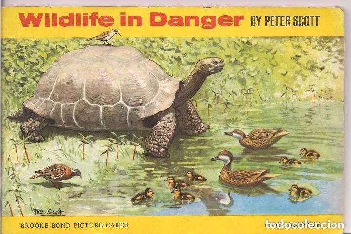 Collectionnisme Album: Wildlife in Danger. &Aacute;lbum ingl&eacute;s