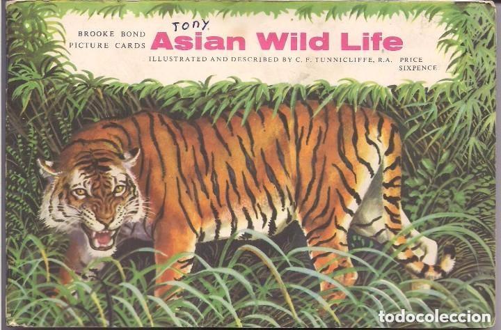 Collectionnisme Album: Asian Wild Life. &Aacute;lbum ingl&eacute;s