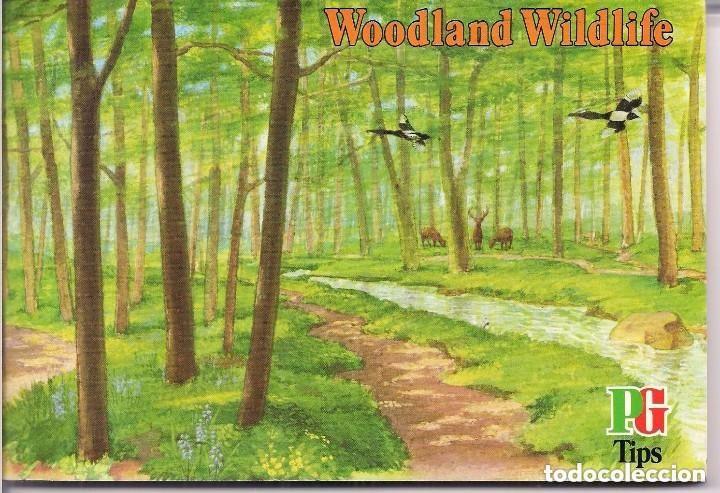 Collectionnisme Album: Woodland Wildlife. &Aacute;lbum ingl&eacute;s