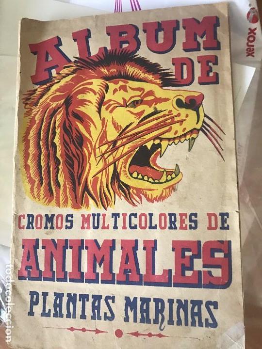 Collectionnisme Album: album de animales y plantas marinas fher a&ntilde;os 40 buen estado