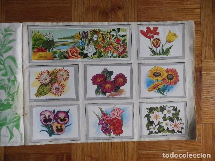 Coleccionismo &aacute;lbum: &Aacute;lbum vida y color - Foto 2