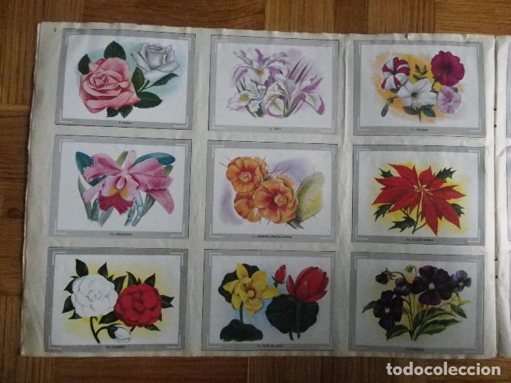 Coleccionismo &aacute;lbum: &Aacute;lbum vida y color - Foto 3
