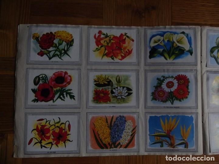 Coleccionismo &aacute;lbum: &Aacute;lbum vida y color - Foto 5