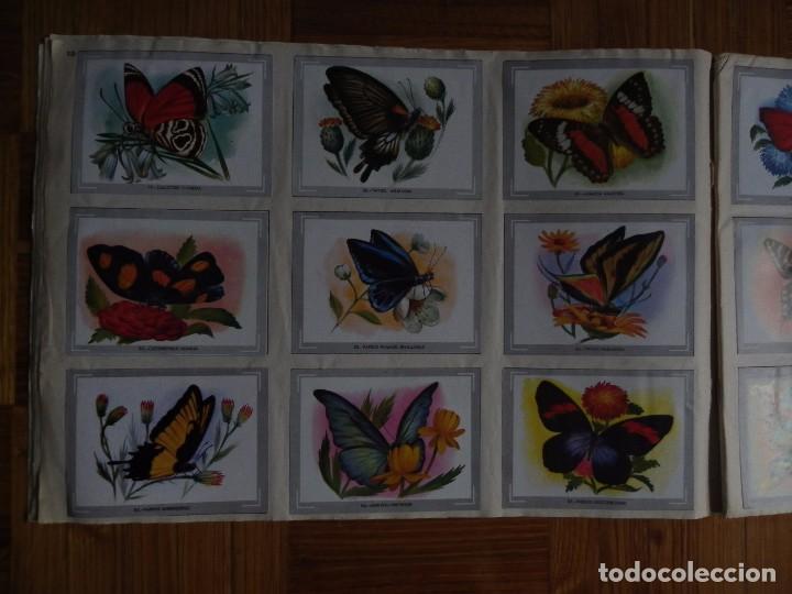 Coleccionismo &aacute;lbum: &Aacute;lbum vida y color - Foto 12