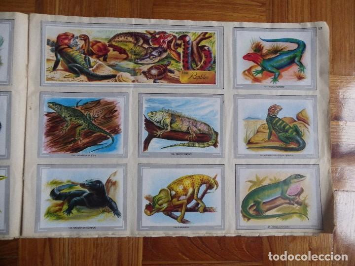 Coleccionismo &aacute;lbum: &Aacute;lbum vida y color - Foto 19