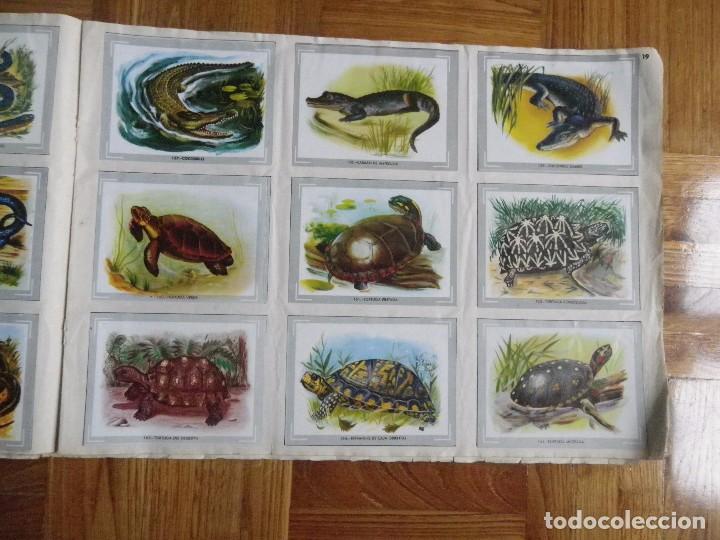 Coleccionismo &aacute;lbum: &Aacute;lbum vida y color - Foto 21