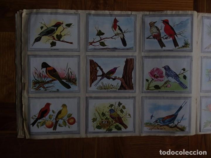 Coleccionismo &aacute;lbum: &Aacute;lbum vida y color - Foto 24