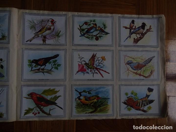 Coleccionismo &aacute;lbum: &Aacute;lbum vida y color - Foto 25