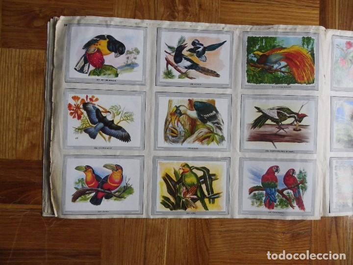 Coleccionismo &aacute;lbum: &Aacute;lbum vida y color - Foto 26