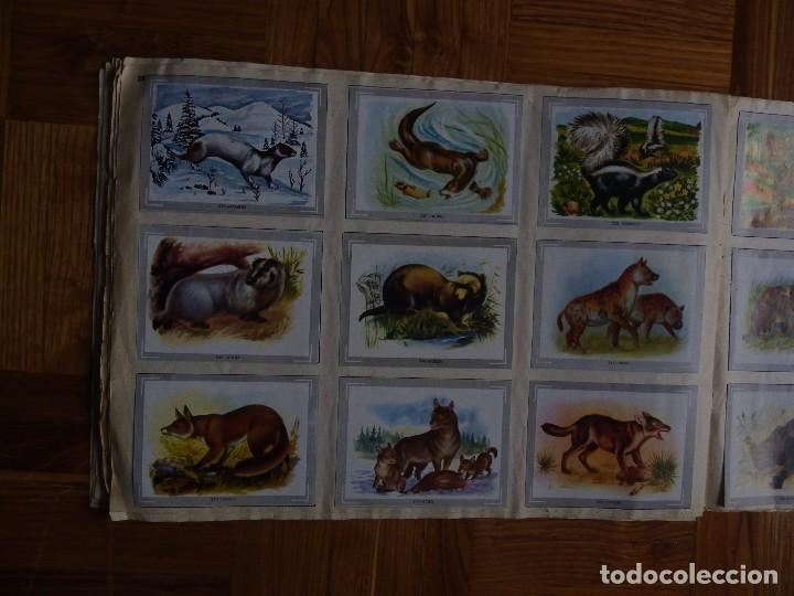 Coleccionismo &aacute;lbum: &Aacute;lbum vida y color - Foto 30