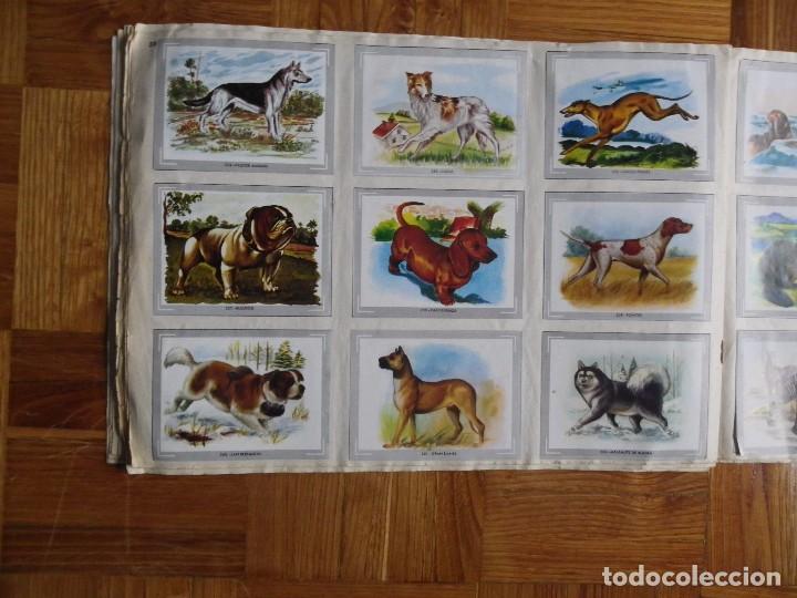 Coleccionismo &aacute;lbum: &Aacute;lbum vida y color - Foto 32