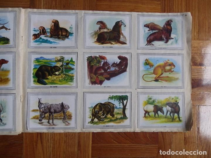 Coleccionismo &aacute;lbum: &Aacute;lbum vida y color - Foto 33