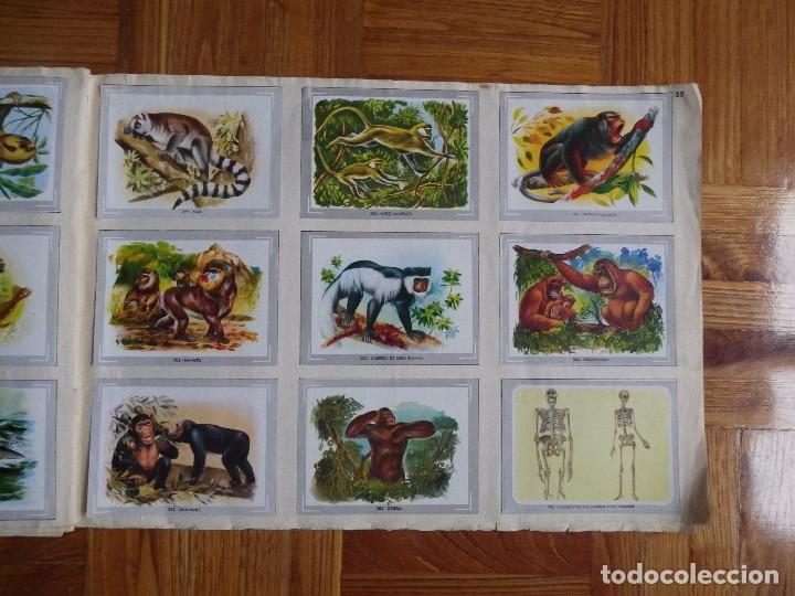 Coleccionismo &aacute;lbum: &Aacute;lbum vida y color - Foto 37