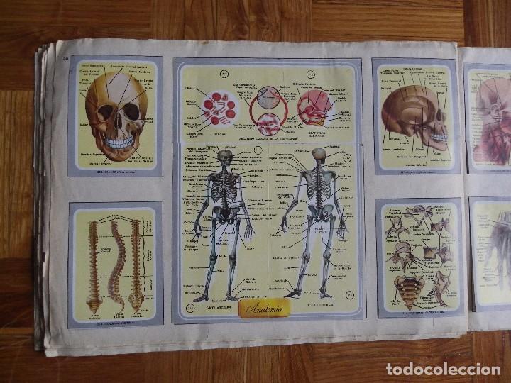 Coleccionismo &aacute;lbum: &Aacute;lbum vida y color - Foto 38